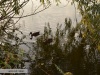 Lacul Brateni